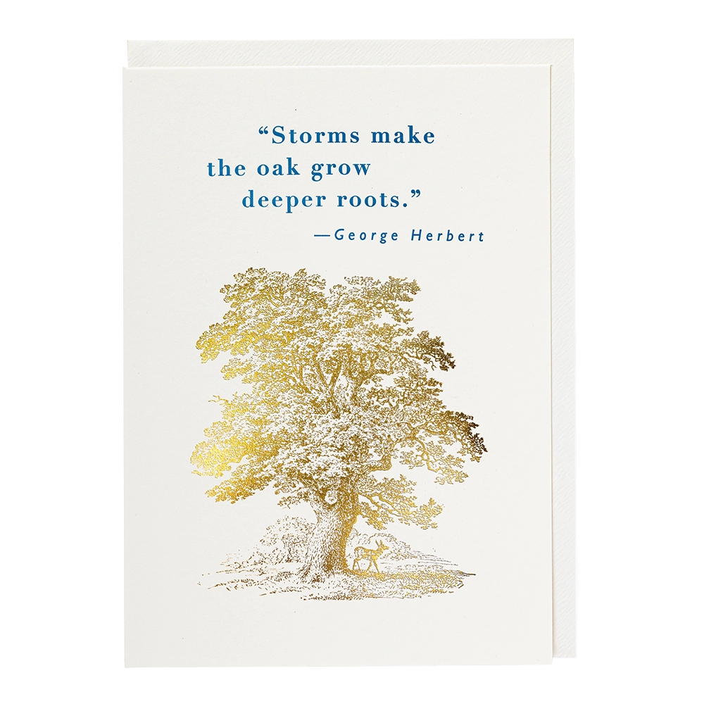 Archivist Grußkarte Deeper Roots