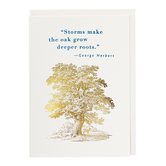 Archivist Grußkarte Deeper Roots