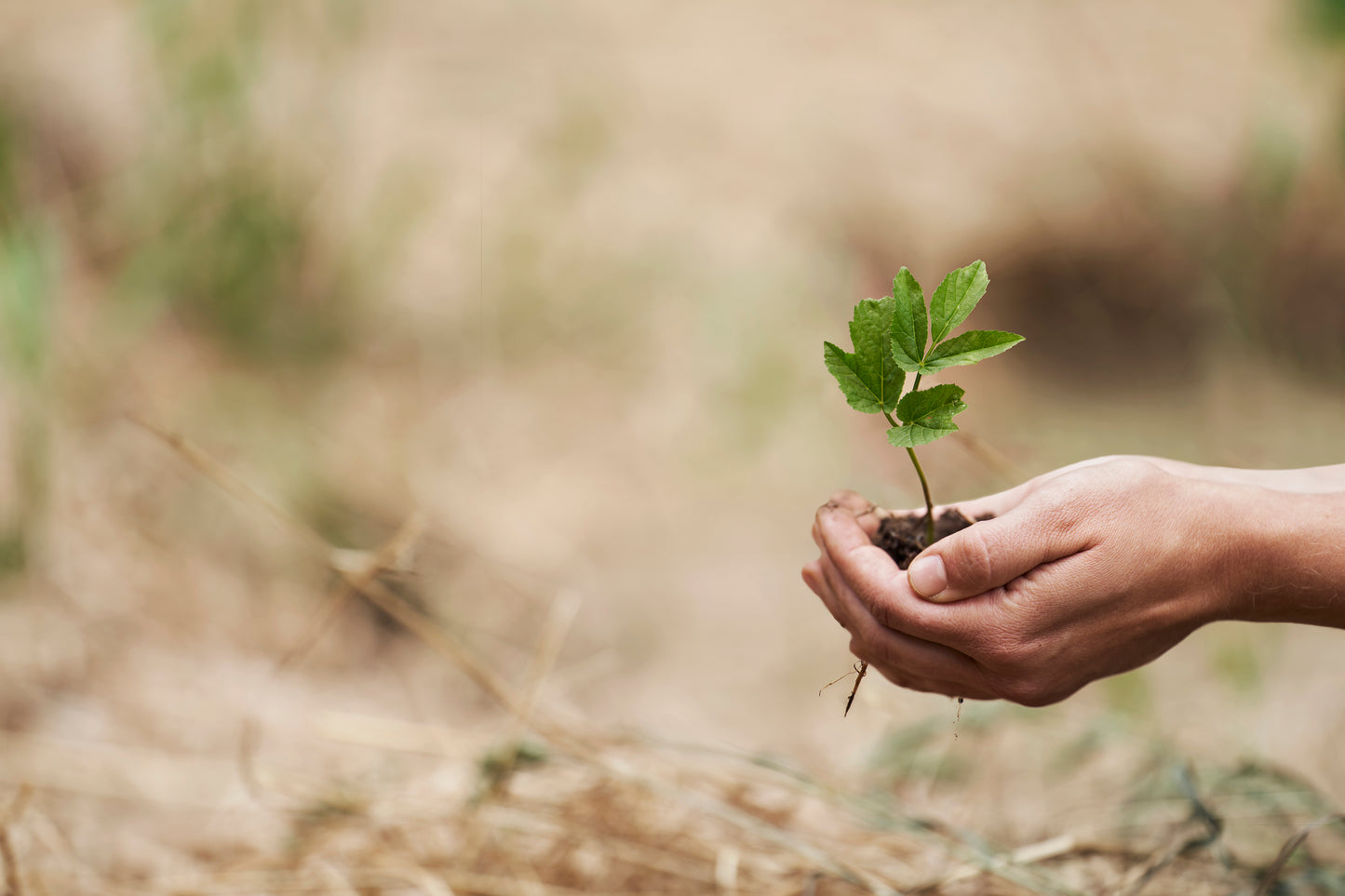 Klippan Yllefabrik Gotland Woven Wool Throw Cerise